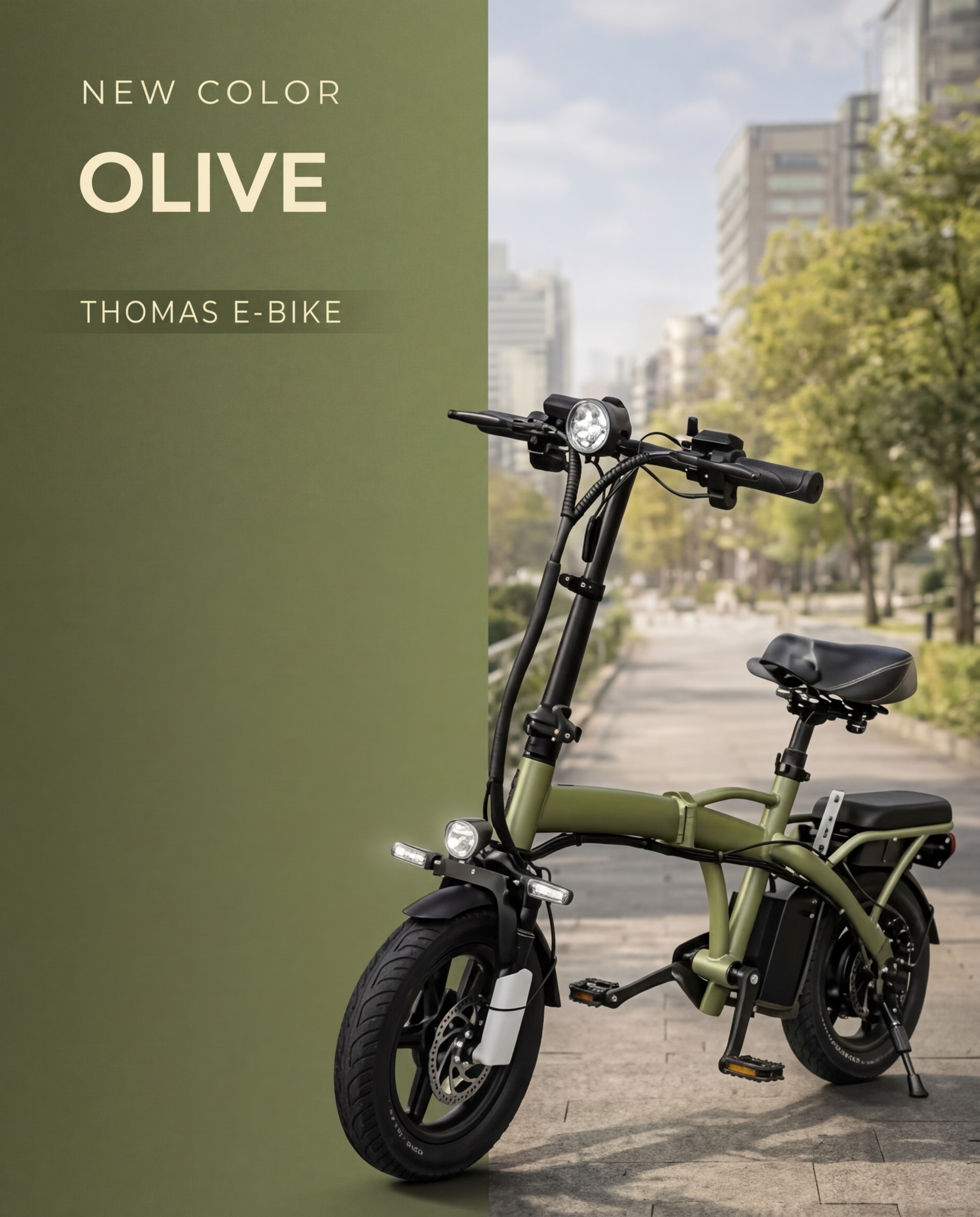 E-Bike Thomas ad 1